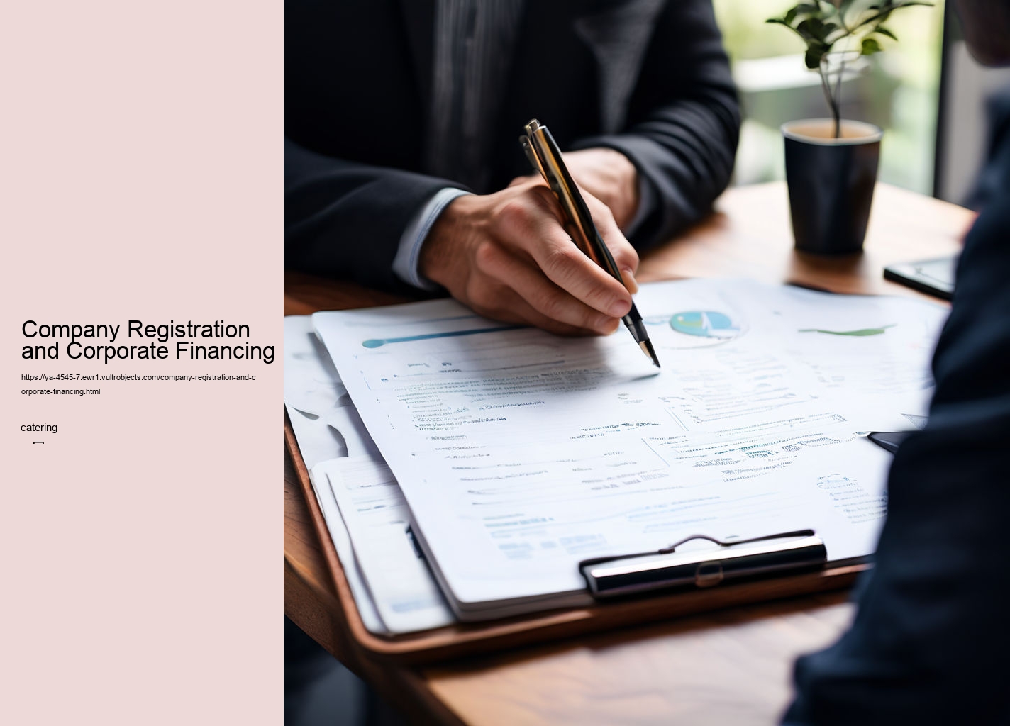 Company Registration and Corporate Financing